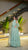 Premium Quality  Roman Silk Gown Anarkali Suit Set